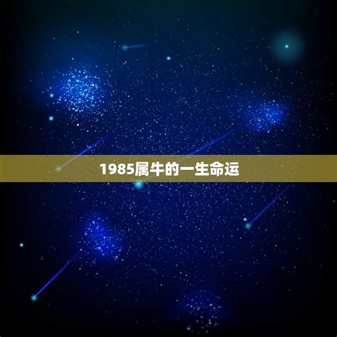 1985属